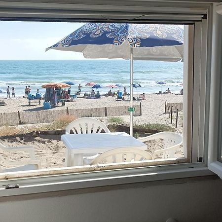 شقة Casina Sulla Sabbia تورفاينيكا المظهر الخارجي الصورة