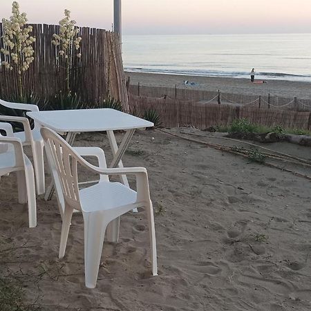 شقة Casina Sulla Sabbia تورفاينيكا المظهر الخارجي الصورة