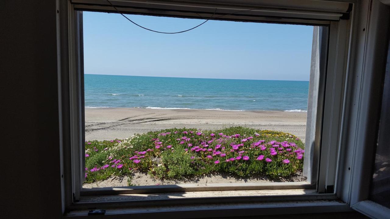 شقة Casina Sulla Sabbia تورفاينيكا المظهر الخارجي الصورة